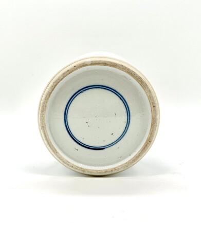 bf-97-a-blue-and-white-