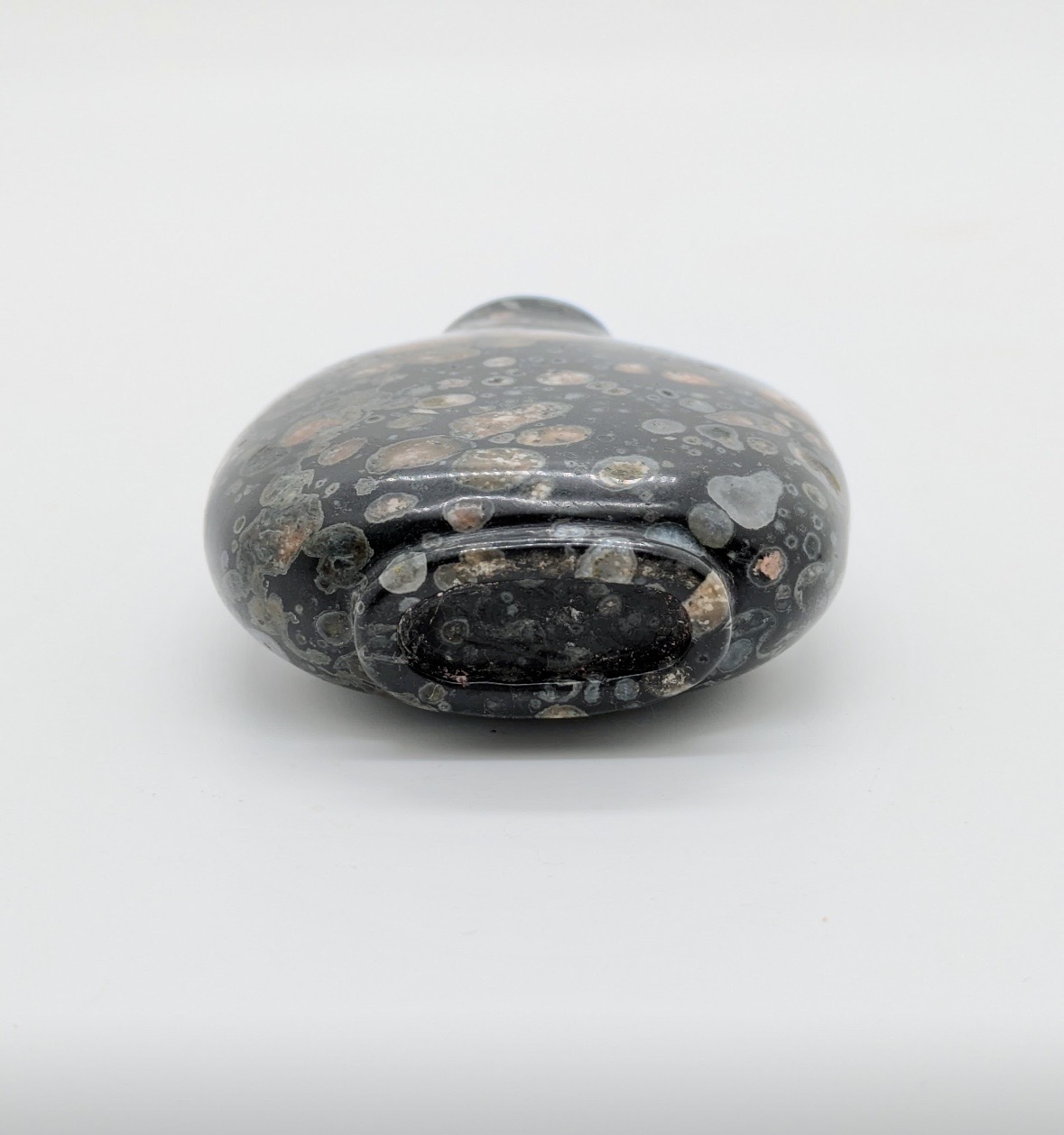 S 99 A fossiliferous limestone snuff bottle<br><br>十九世紀中 石化石灰石鼻煙壺